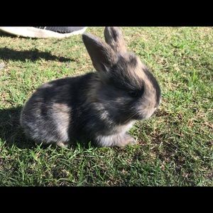 Meet your Posher, Luis